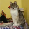 Отзыв от Инесса Денисова